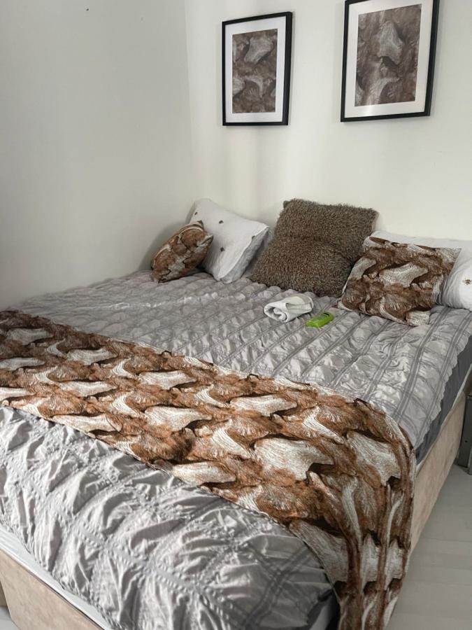 Spacious One Bedroom Ft In Central London King'S Cross Exteriér fotografie